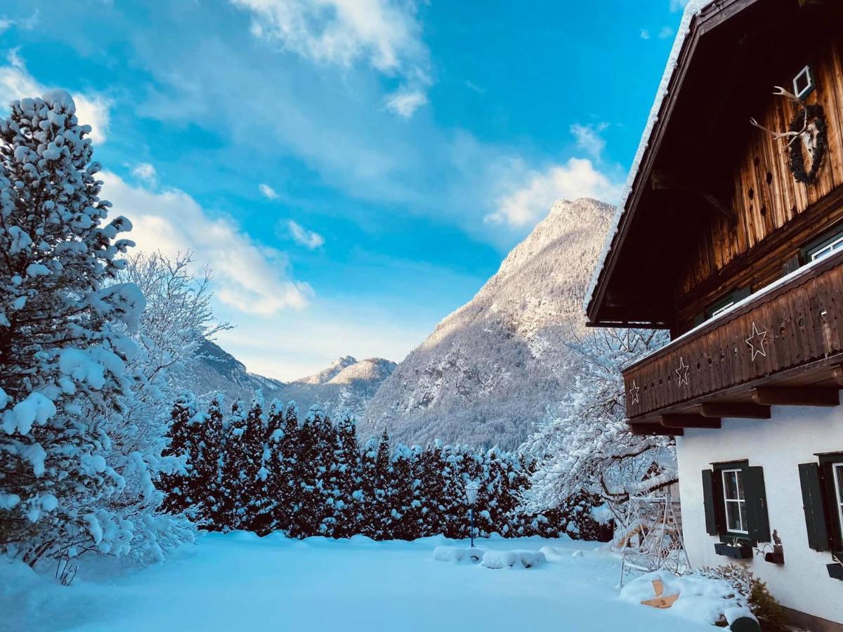 Forest Chalet, 15 Min To Salzburg Olt Town, And Most Beautiful Lakes, Secluded Location, 1,000 Sqm Garden, Mountainview, Panorama Sauna, Bath Whirlpool, Bbq&Bikes&Sunbeds For Free, Up To 10 P Golling an der Salzach Exterior foto